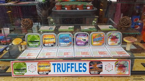 Exploring the Microdosing Potential of Magic Truffles